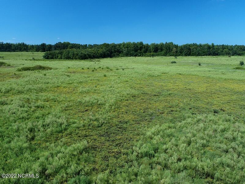 0 Gerald Road Rowland, NC 28383 - Photo 2 of 14 DJI_0495