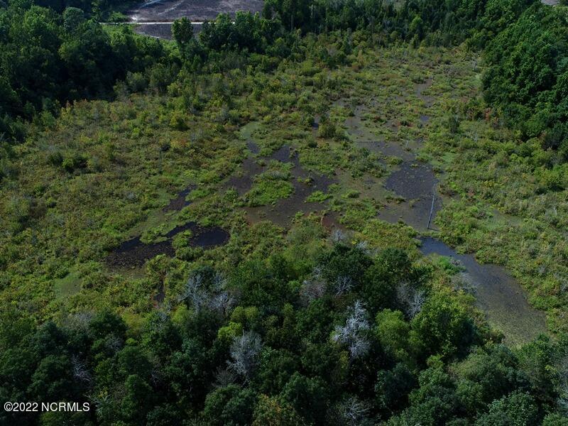 0 Gerald Road Rowland, NC 28383 - Photo 6 of 14 DJI_0506