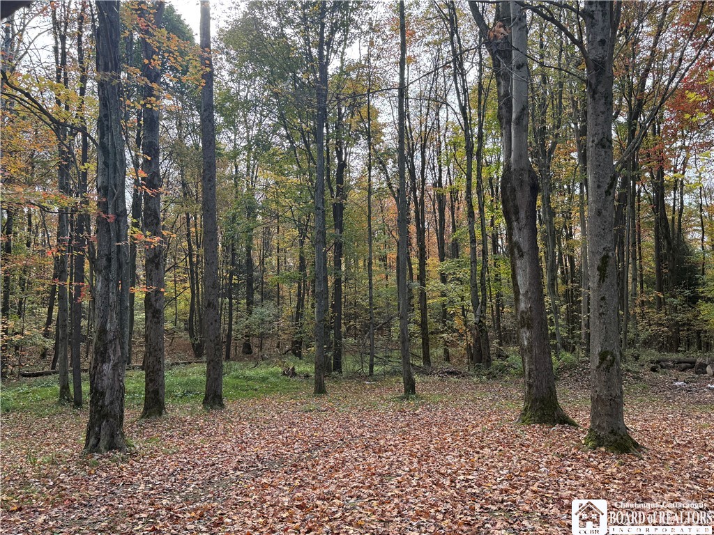 6651 Webber Road Chautauqua, NY 14781 - Photo 5 of 25 Gallery Image 5