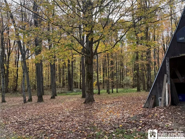 $249,500 | 6651 Webber Road, Chautauqua, NY 14781