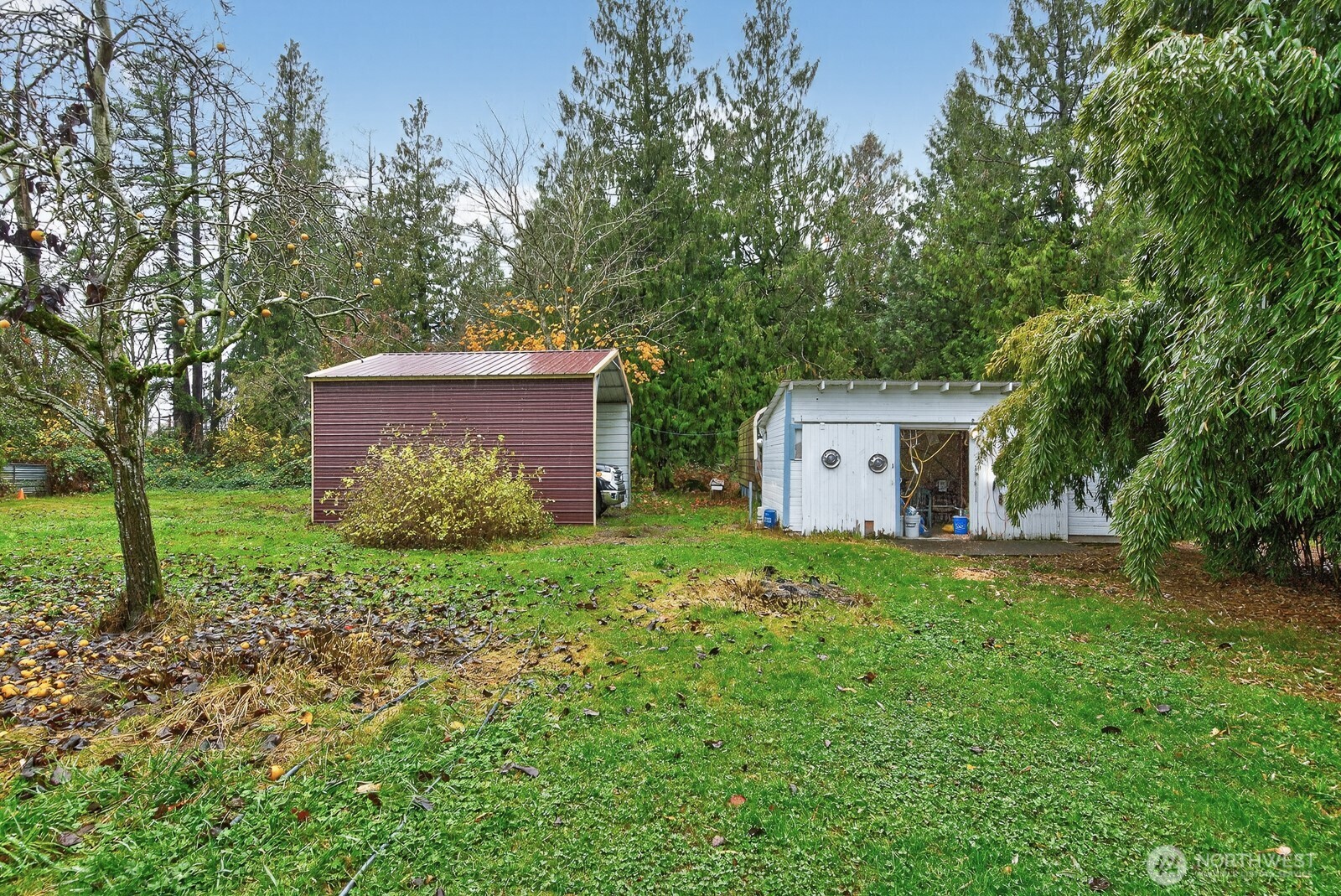 7554 Nooksack Road Everson, WA 98247 - Photo 30 of 40 a view of a house with a yard and a large tree