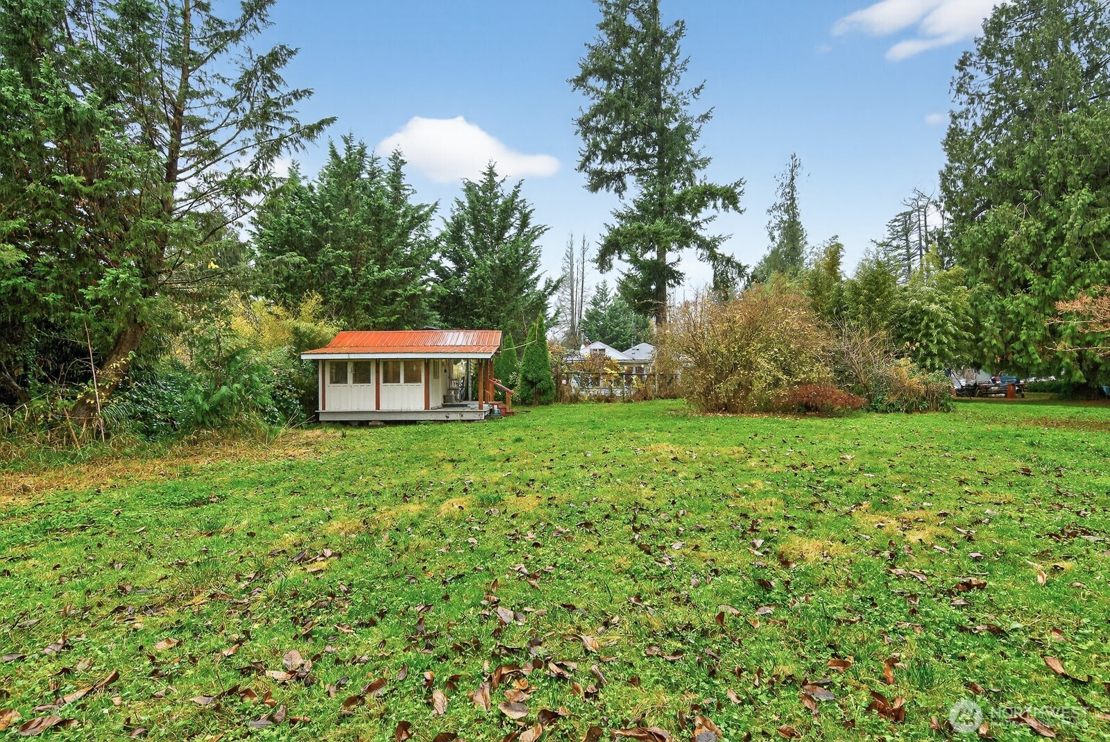 7554 Nooksack Road Everson, WA 98247 - Photo 31 of 40 a view of a big yard with plants and large trees
