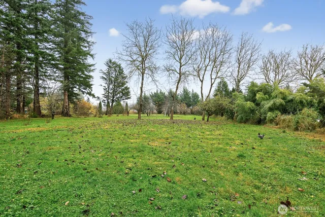 a view of garden view