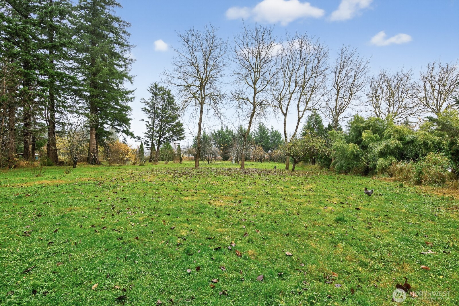 7554 Nooksack Road Everson, WA 98247 - Photo 34 of 40 a view of garden view