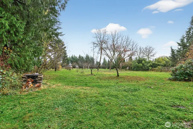 a view of a park with large trees