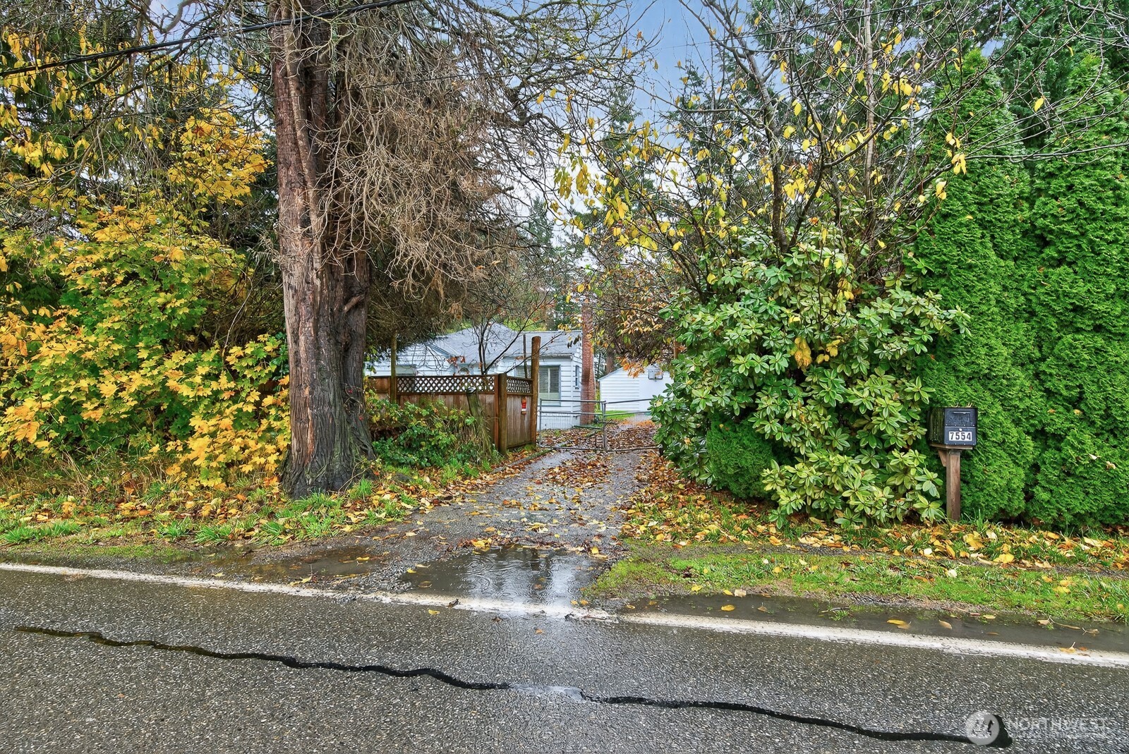 7554 Nooksack Road Everson, WA 98247 - Photo 36 of 40 front view of a house with a tree