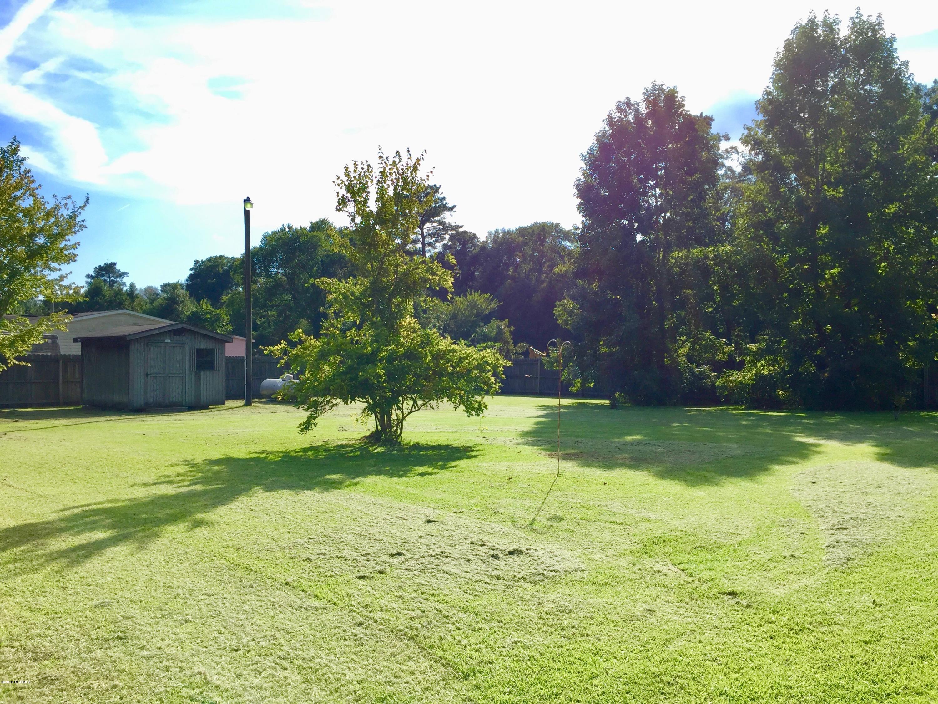 505 Hudnell Road Ernul, NC 28527 - Photo 26 of 29 Back yard