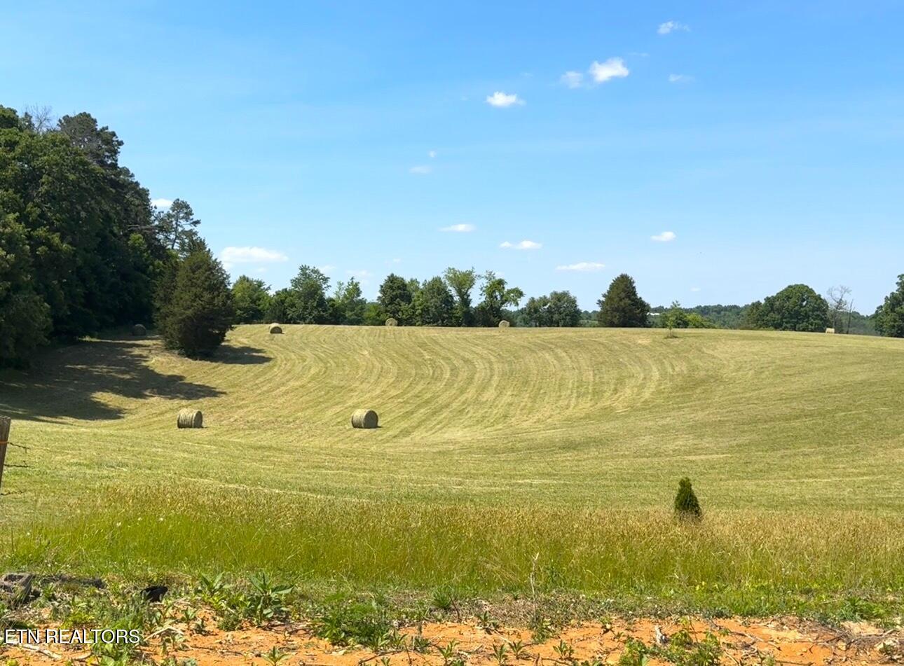 620 Pates Hill Road Mosheim, TN 37818 - Photo 51 of 51 Back view from property line