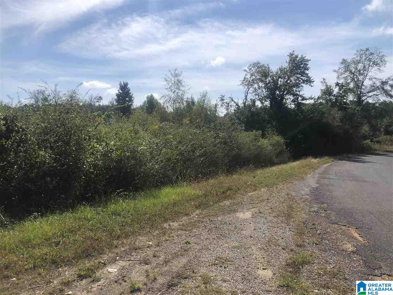 Lost Creek Road Carbon Hill, AL 35549 - Photo 3 of 6