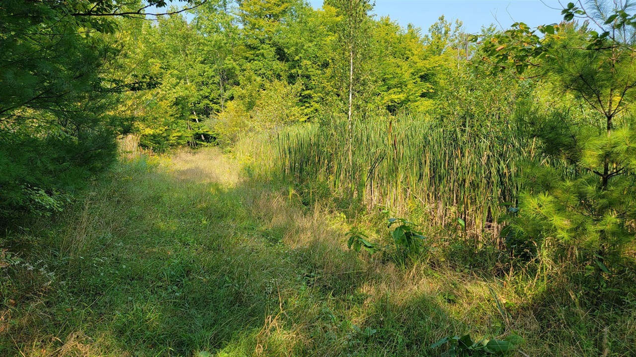 5 5 Mile Road Lakeview, MI 48850 - Photo 13 of 14