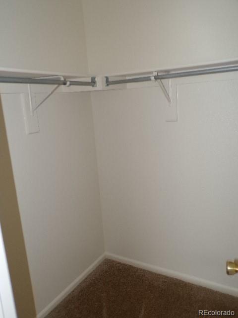 9934 Sydney Lane Highlands Ranch, CO 80130 - Photo 15 of 19 a view of small space with racks on the wall