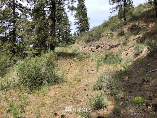 0 Cooper Gulch Road Chelan, WA 98816 - Photo 1 of 15 Gallery Image 1