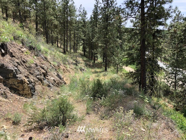 0 Cooper Gulch Road Chelan, WA 98816 - Photo 2 of 15 Gallery Image 2