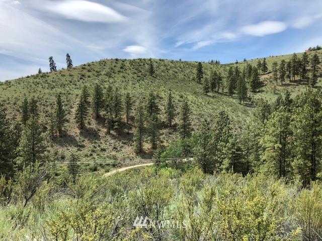 0 Cooper Gulch Road Chelan, WA 98816 - Photo 11 of 15 Gallery Image 11