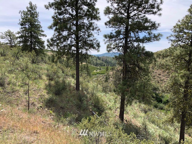 0 Cooper Gulch Road Chelan, WA 98816 - Photo 12 of 15 Gallery Image 12