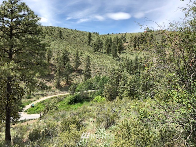 0 Cooper Gulch Road Chelan, WA 98816 - Photo 13 of 15 Gallery Image 13