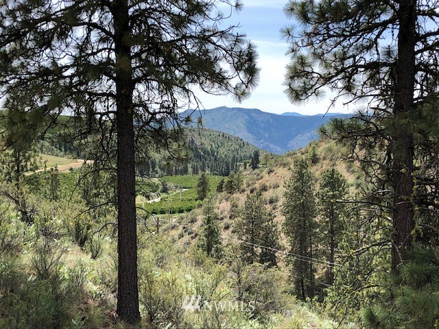 0 Cooper Gulch Road Chelan, WA 98816 - Photo 14 of 15 Gallery Image 14