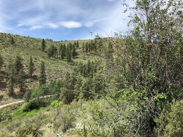 0 Cooper Gulch Road Chelan, WA 98816 - Photo 15 of 15 Gallery Image 15