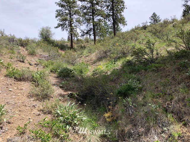 0 Cooper Gulch Road Chelan, WA 98816 - Photo 3 of 15 Gallery Image 3