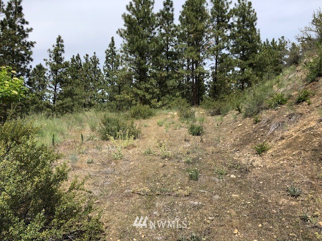 0 Cooper Gulch Road Chelan, WA 98816 - Photo 4 of 15 Gallery Image 4