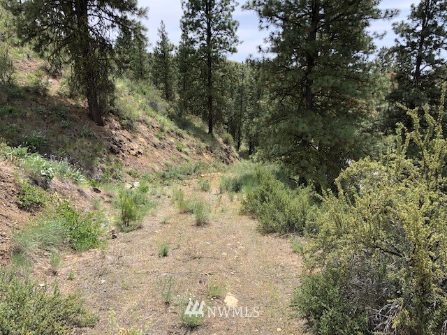 0 Cooper Gulch Road Chelan, WA 98816 - Photo 5 of 15 Gallery Image 5