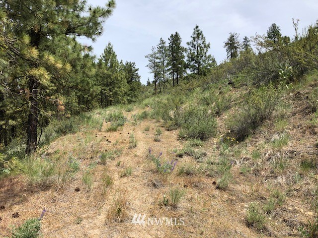 0 Cooper Gulch Road Chelan, WA 98816 - Photo 6 of 15 Gallery Image 6