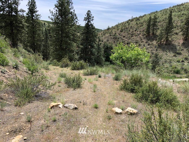 0 Cooper Gulch Road Chelan, WA 98816 - Photo 7 of 15 Gallery Image 7