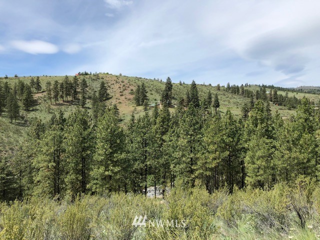 0 Cooper Gulch Road Chelan, WA 98816 - Photo 10 of 15 Gallery Image 10