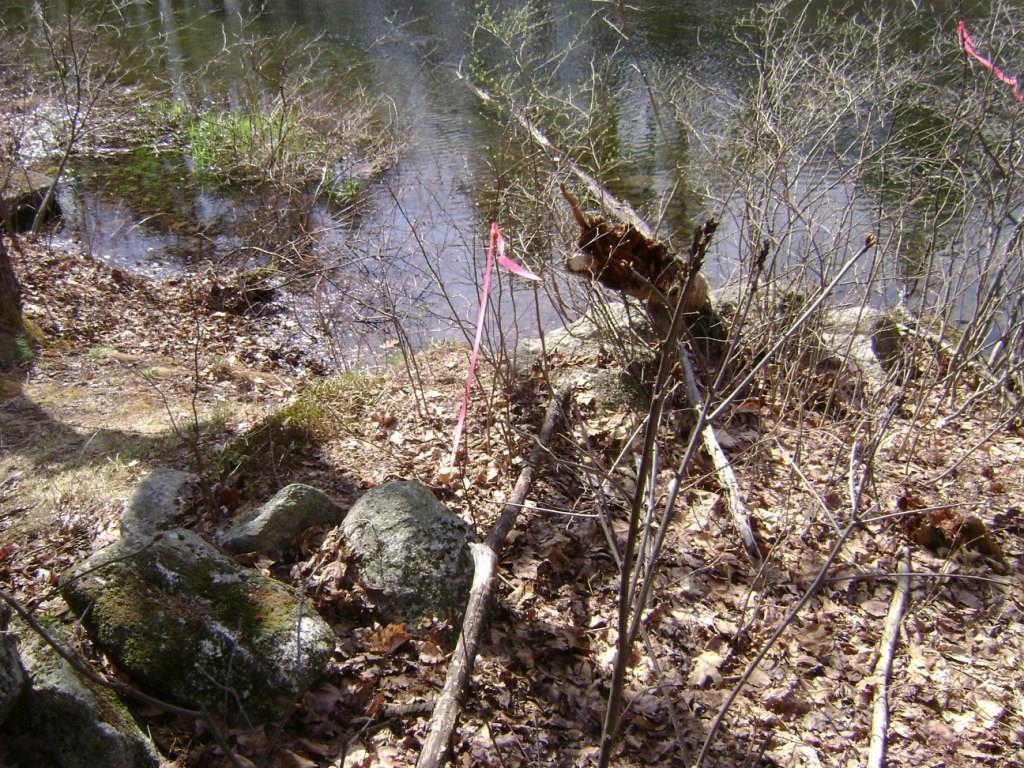 Lot 1 Webbs Mills Road Raymond, ME 04071 - Photo 4 of 8 Photo