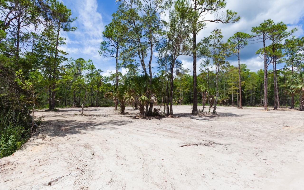 Lot 8 Jody Morgan Road Perry, FL 32348 - Photo 3 of 17 Gallery Image 3