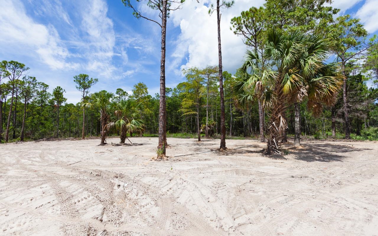 Lot 8 Jody Morgan Road Perry, FL 32348 - Photo 4 of 17 Gallery Image 4