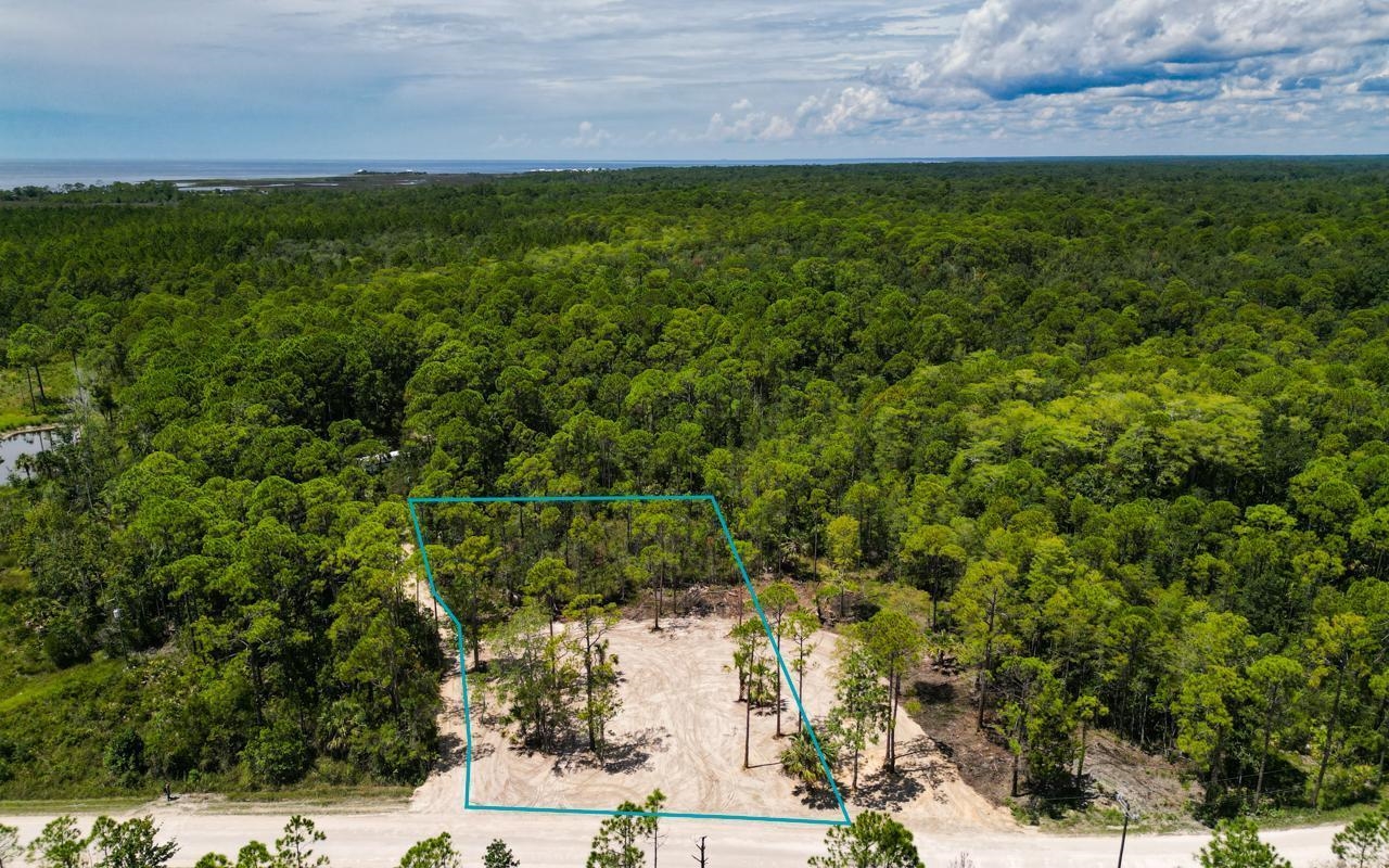 Lot 8 Jody Morgan Road Perry, FL 32348 - Photo 5 of 17 Gallery Image 5