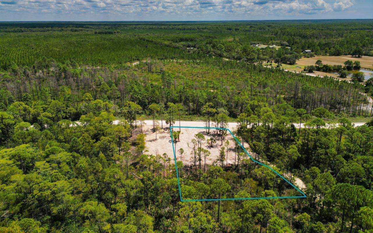 Lot 8 Jody Morgan Road Perry, FL 32348 - Photo 9 of 17 Gallery Image 9