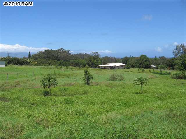 0 Tavares Road Haiku, HI 96708 - Photo 1 of 11 a view of a garden with a lake