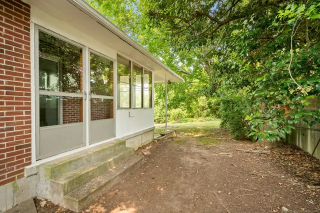 a view of backyard with large trees and plants
