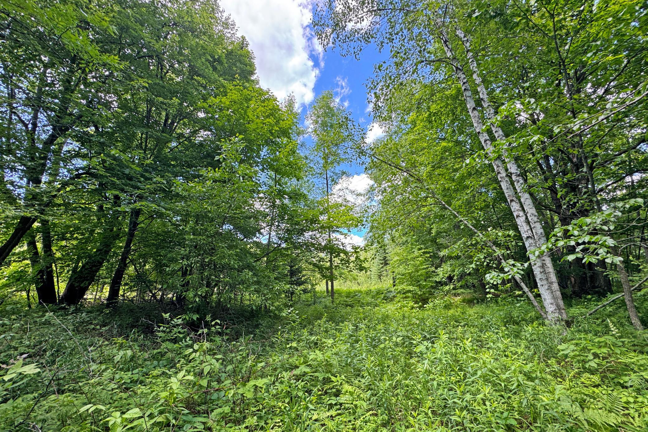 0 Perry Lake Road Crosby, MN 56441 - Photo 28 of 42