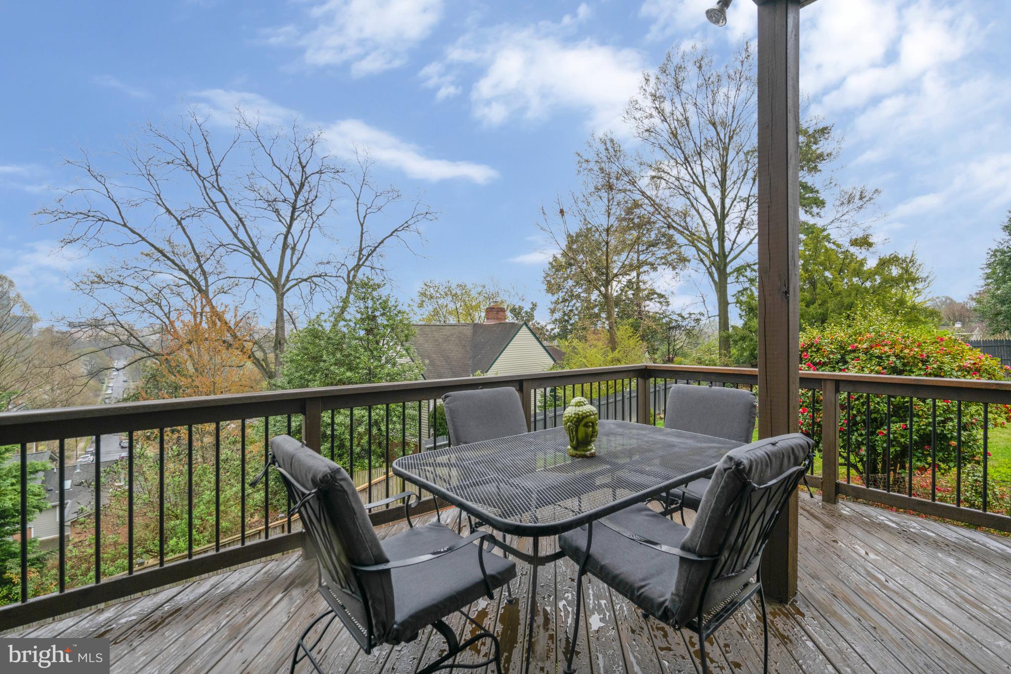 1807 South Arlington Ridge Road Arlington, VA 22202 - Photo 74 of 78