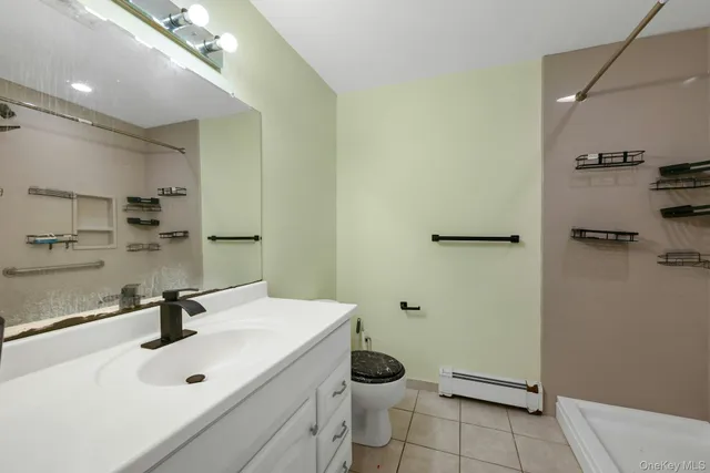 a bathroom with a sink a toilet and a mirror