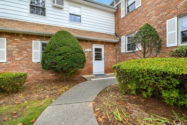 a view of a backyard with plants
