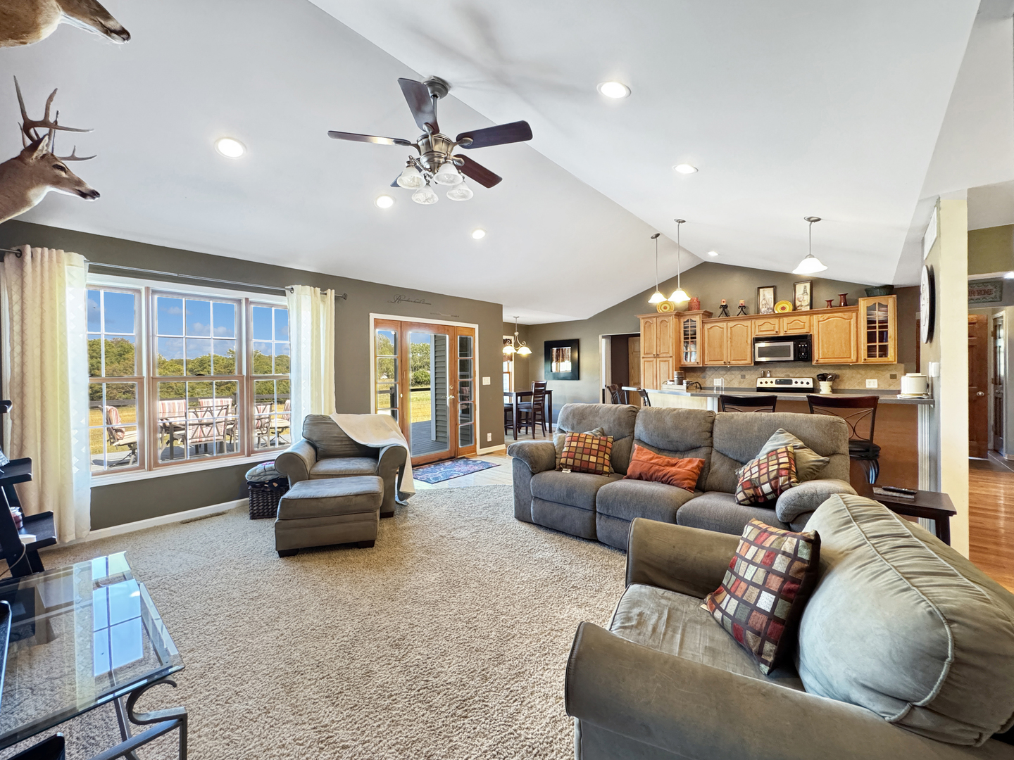 1063 Deer Valley Drive Varna, IL 61375 - Photo 5 of 87 a living room with furniture and a large window