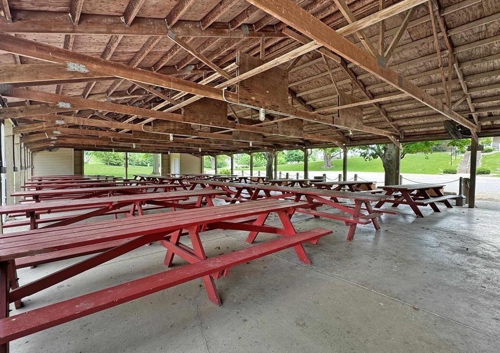 1063 Deer Valley Drive Varna, IL 61375 - Photo 69 of 87 a view of a backyard with sitting area