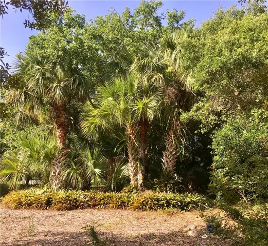 a view of a yard with plants and trees