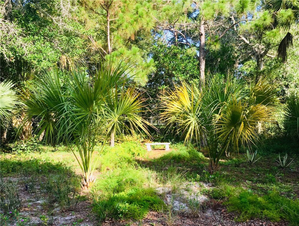 9605 Riverview Drive Micco, FL 32976 - Photo 28 of 36 a view of a yard