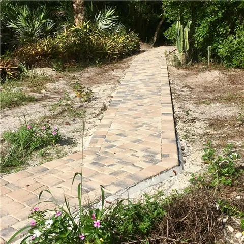 a view of a park that has large trees