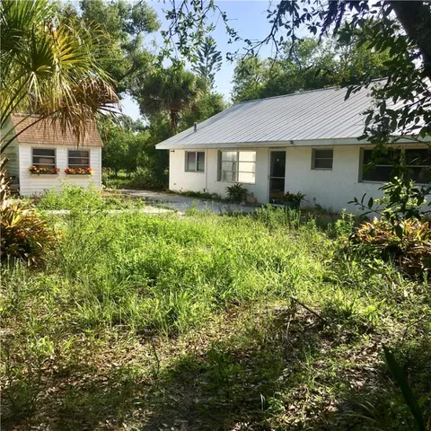a view of a yard with plants and large trees