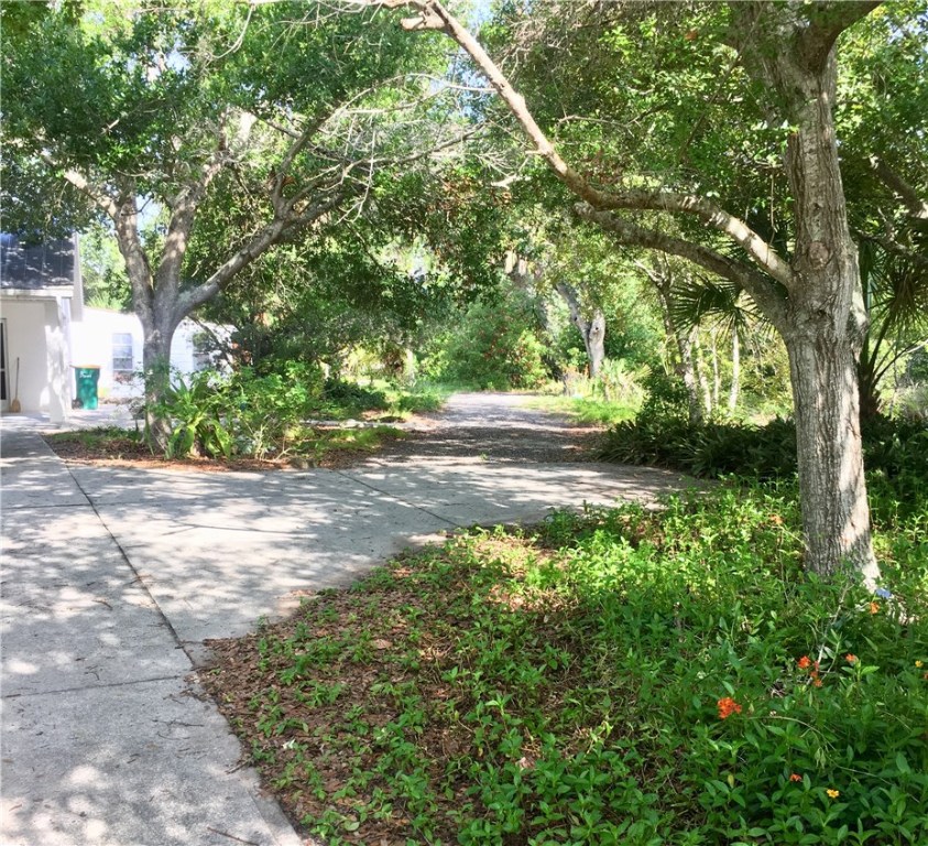 9605 Riverview Drive Micco, FL 32976 - Photo 3 of 36 a view of a yard with plants and trees