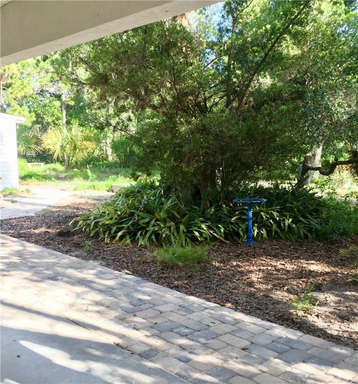 9605 Riverview Drive Micco, FL 32976 - Photo 33 of 36 a view of a yard with plants and large trees
