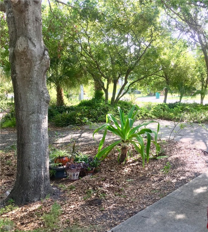 9605 Riverview Drive Micco, FL 32976 - Photo 34 of 36 a backyard of a house with lots of green space