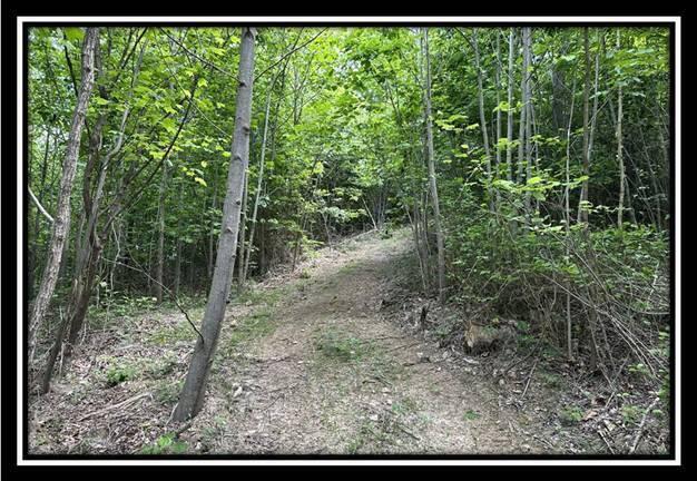 85 Weaver Road, Unit TRACT B) Chillicothe, OH 45601 - Photo 41 of 49 image040