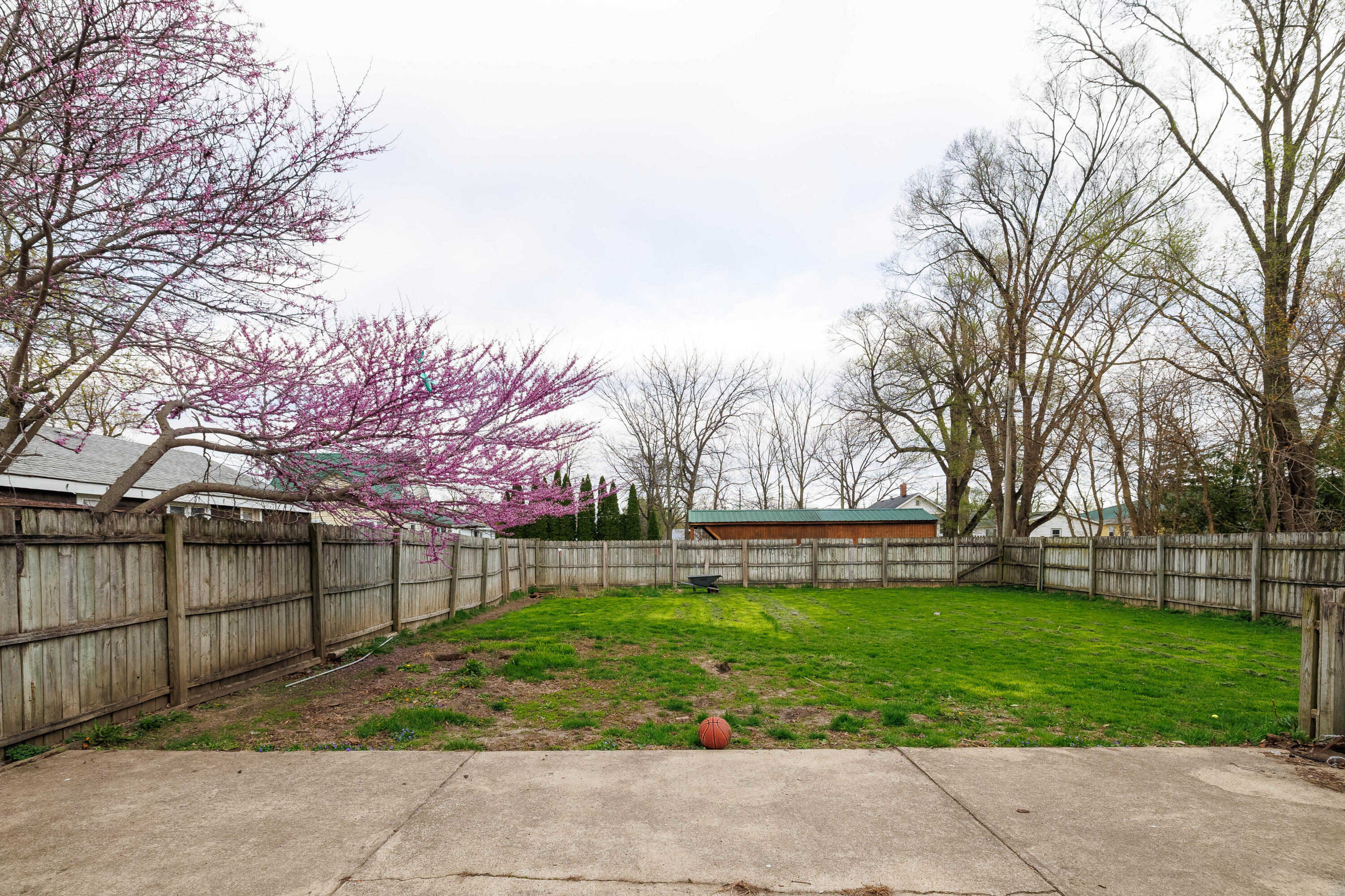 521 North McKinley Avenue Rensselaer, IN 47978 - Photo 10 of 38 a view of a yard with a large tree